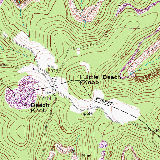 Topographic Map of Little Beech Knob, WV