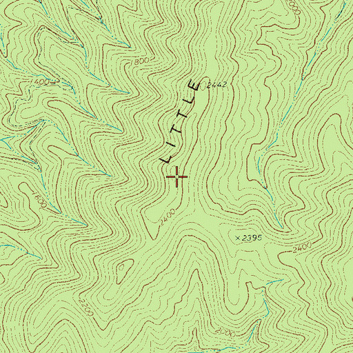 Topographic Map of Little Mountain, WV