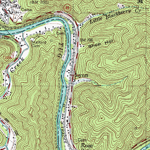 Topographic Map of Lynn, WV