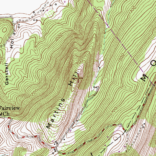 Topographic Map of Martins Hill, WV