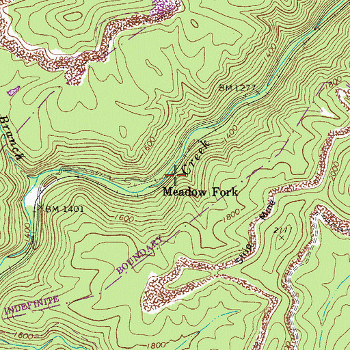 Topographic Map of Meadow Fork, WV