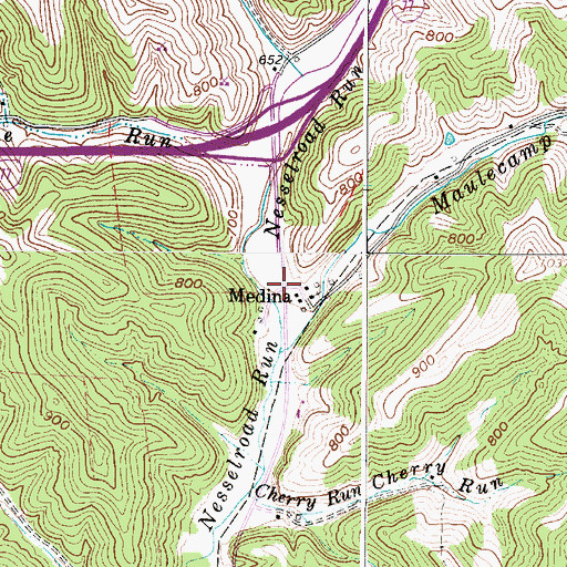Topographic Map of Medina, WV