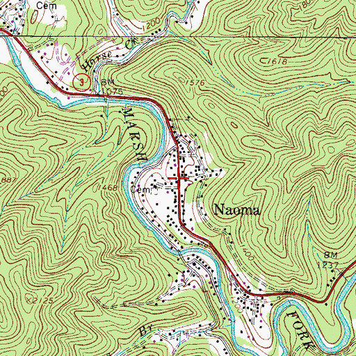 Topographic Map of Naoma, WV