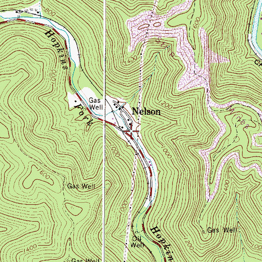 Topographic Map of Nelson, WV