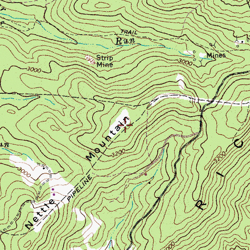 Topographic Map of Nettle Mountain, WV
