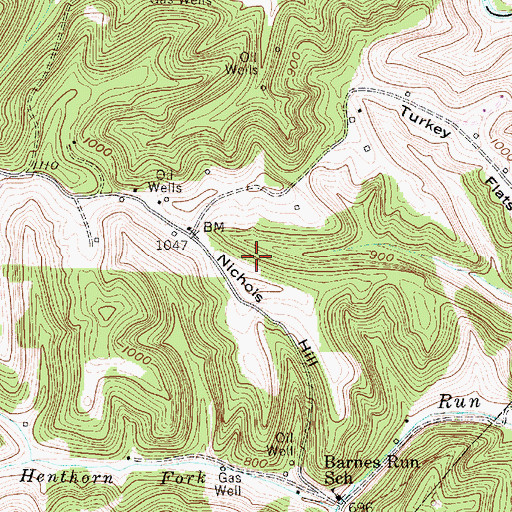 Topographic Map of Nichols Hill, WV