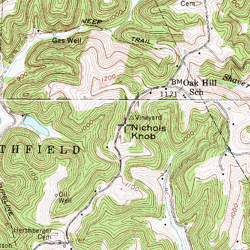 Topographic Map of Nichols Knob, WV