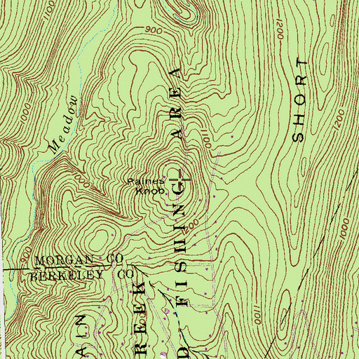 Topographic Map of Paines Knob, WV