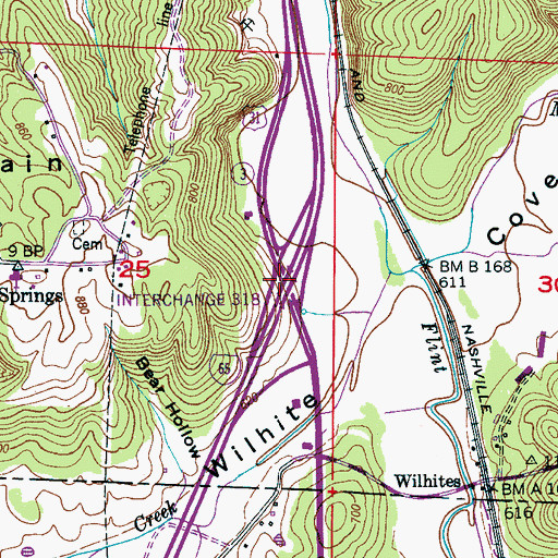 Topographic Map of Interchange 318, AL