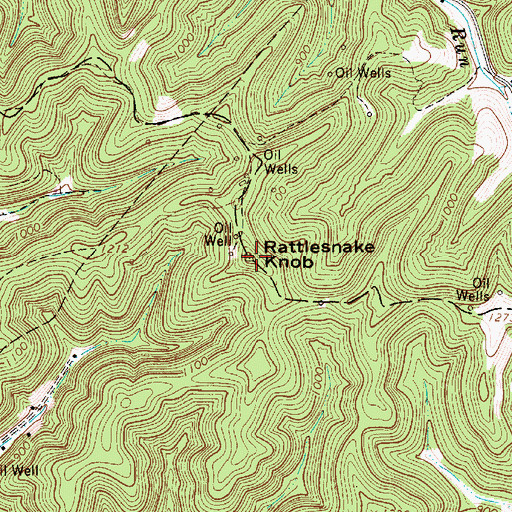 Topographic Map of Rattlesnake Knob, WV