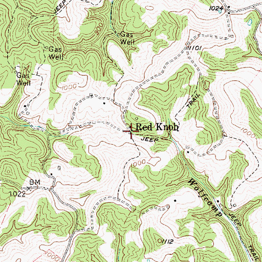 Topographic Map of Red Knob, WV