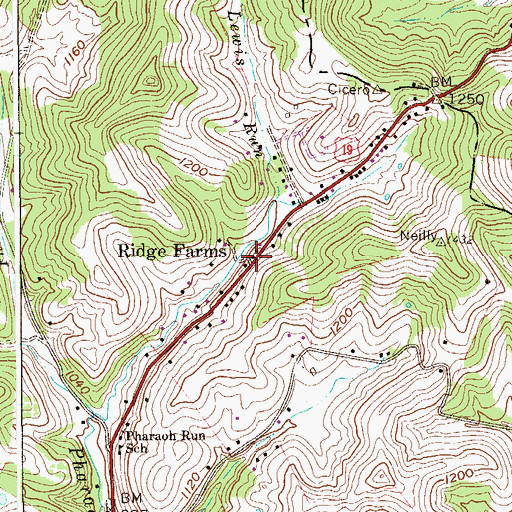 Topographic Map of Ridge Farms, WV