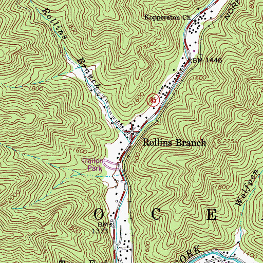 Topographic Map of Rollins Branch, WV
