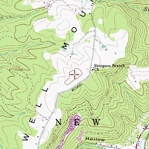 Topographic Map of Sewell Mountain, WV