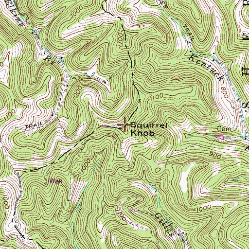 Topographic Map of Squirrel Knob, WV
