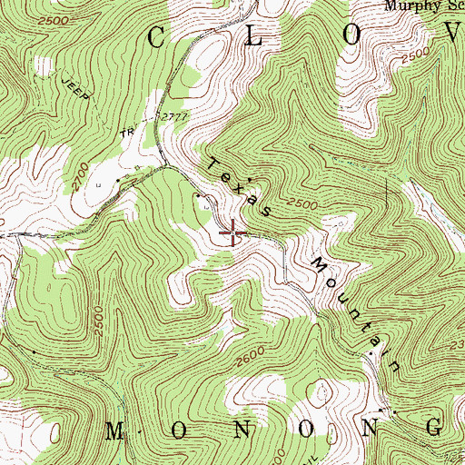 Topographic Map of Texas Mountain, WV