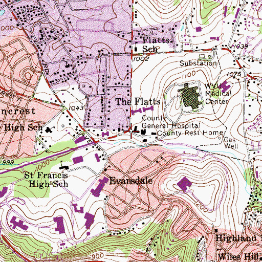 Topographic Map of The Flatts, WV