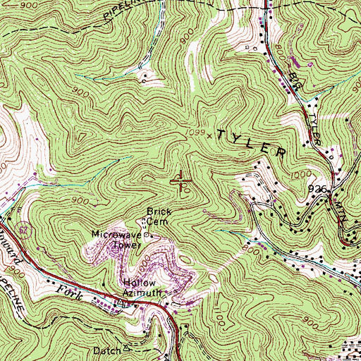 Topographic Map of Tyler Mountain, WV