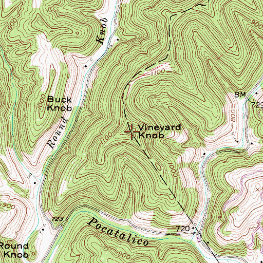 Topographic Map of Vineyard Knob, WV
