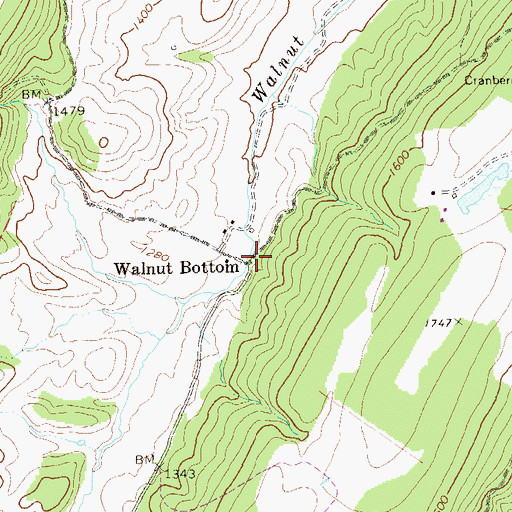 Topographic Map of Walnut Bottom, WV