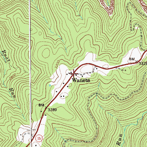 Topographic Map of Waneta, WV