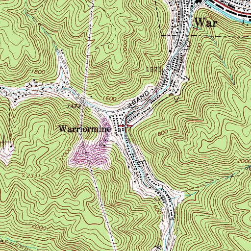 Topographic Map of Warriormine, WV