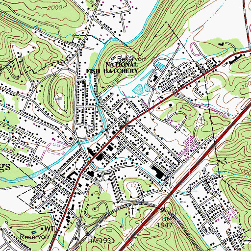 Topographic Map of White Sulphur Springs, WV