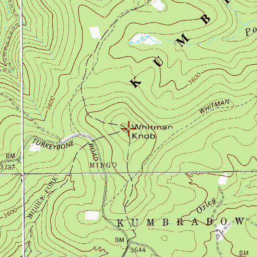 Topographic Map of Whitman Knob, WV