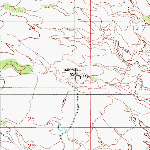 Topographic Map of Salcedo Well, AZ