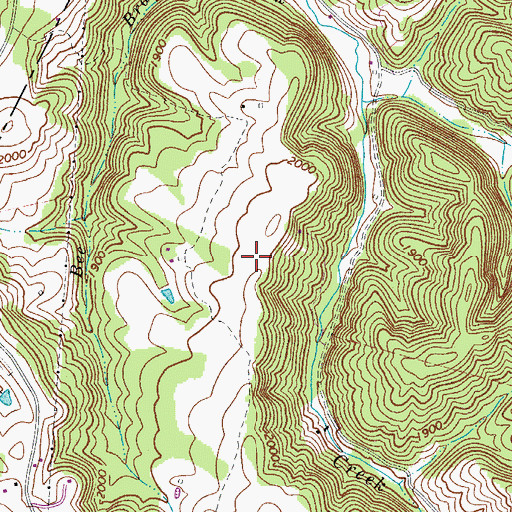 Topographic Map of Chestnut Flats, WV
