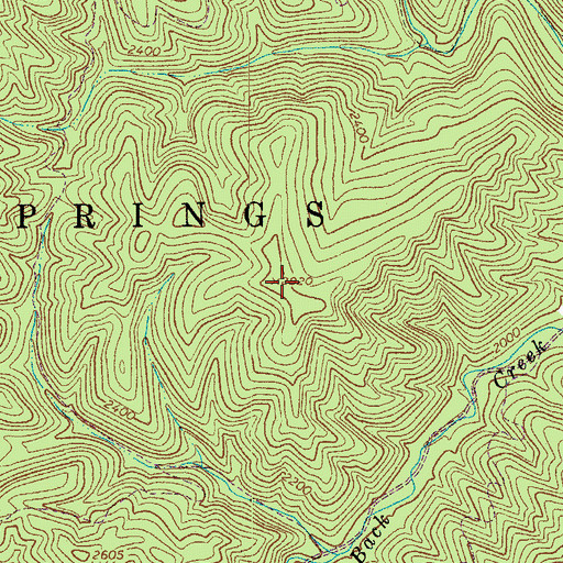 Topographic Map of Negro Mountain, WV