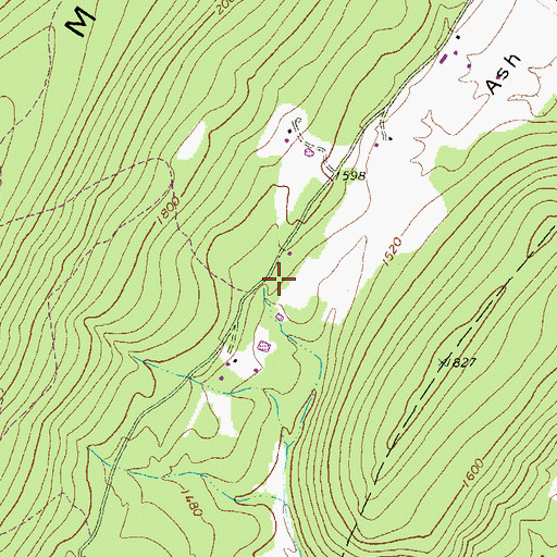 Topographic Map of Ash Flat School (historical), WV