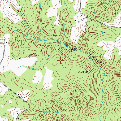 Topographic Map of Ellison Ridge, WV