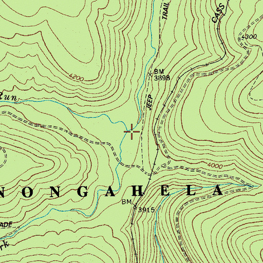 Topographic Map of Black Run, WV