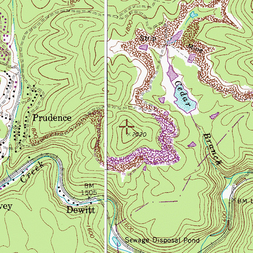 Topographic Map of Cedar Branch Dam, WV