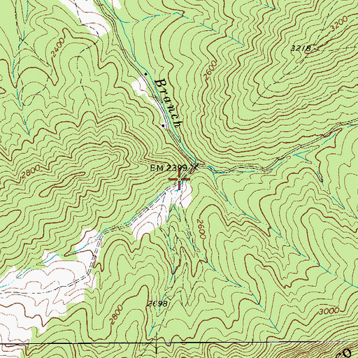 Topographic Map of Left Fork Trout Branch Springs, WV