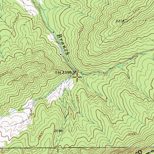 Topographic Map of Right Fork Trout Branch Spring, WV