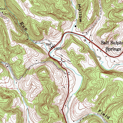 Topographic Map of Salt Sulphur Spring, WV