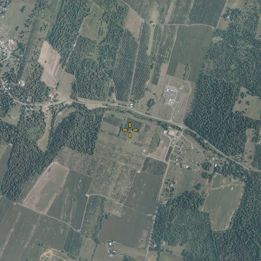 Aerial/Satellite Image of Peerless Orchard Farm Spring, WV