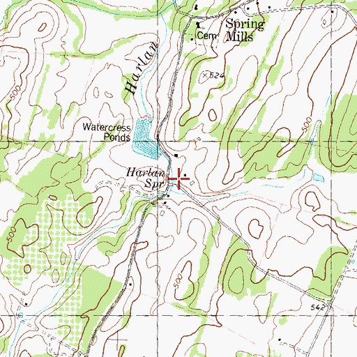 Topographic Map of Taylor Spring, WV