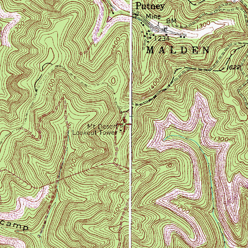 Topographic Map of Mount Desert Lookout Tower, WV