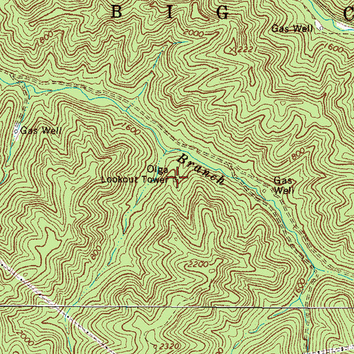 Topographic Map of Olga Lookout Tower, WV