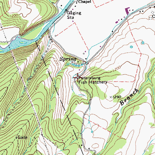 Topographic Map of Petersburg Fish Hatchery, WV