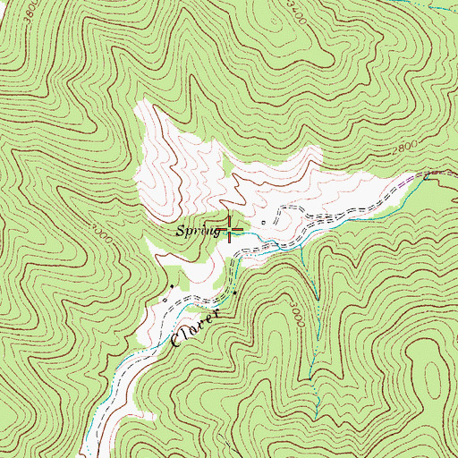 Topographic Map of Thomas Spring, WV