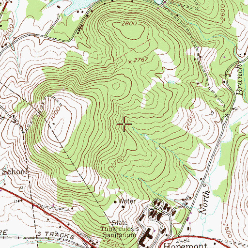 Topographic Map of Hopemont Spring, WV