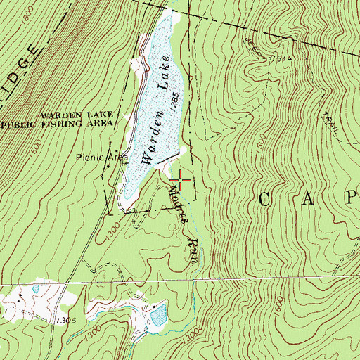 Topographic Map of Moores Run Lake Number One, WV