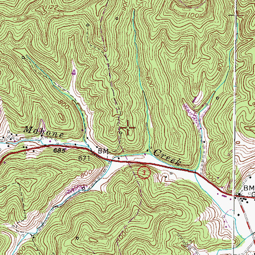Topographic Map of Lees Fishing Lake, WV