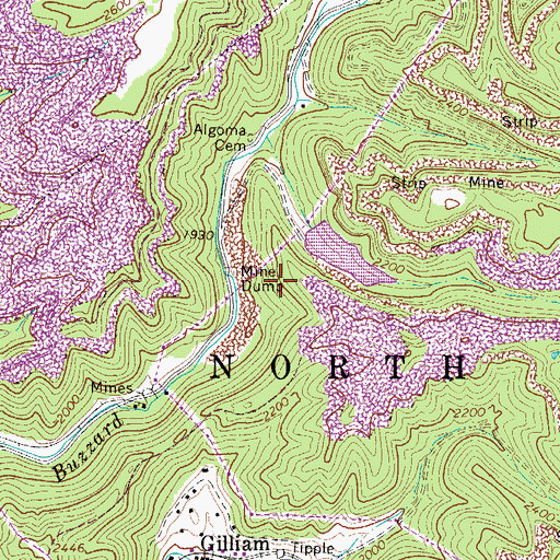Topographic Map of Buzzard Branch Dam, WV