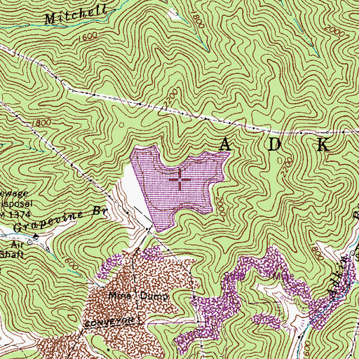 Topographic Map of Grapevine Branch Refuse Bank Lake, WV