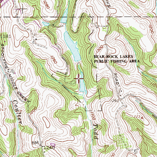 Topographic Map of Bear Rocks Public Fishing Lake Number One Dam, WV